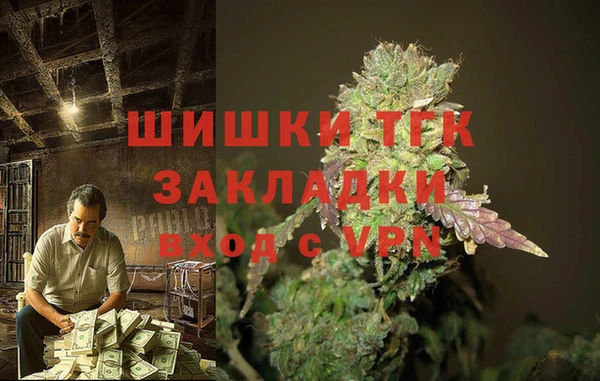 стаф Алзамай