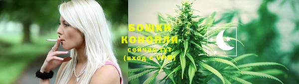 прущие грибы Абдулино