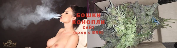 прущие грибы Абдулино