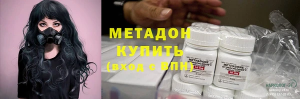 стаф Алзамай