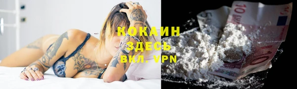 прущие грибы Абдулино