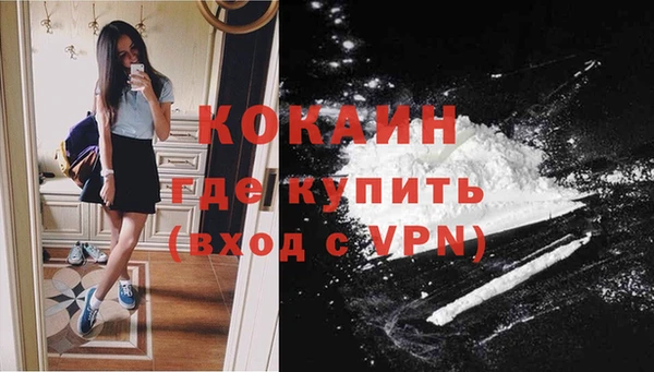 шишки Абинск