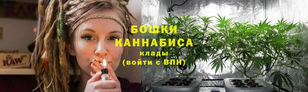 прущие грибы Абдулино