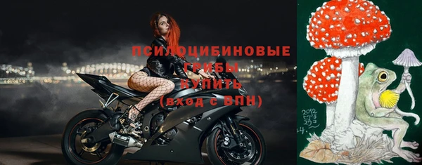 шишки Абинск