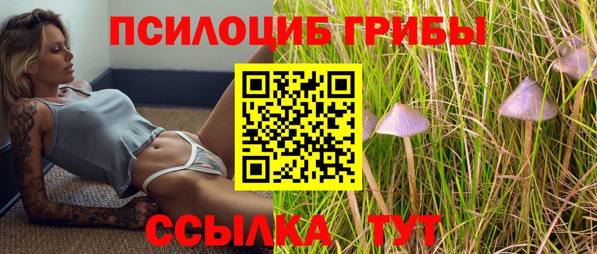 Галлюциногенные грибы Psilocybine cubensis  Вход с VPN  Шебекино 