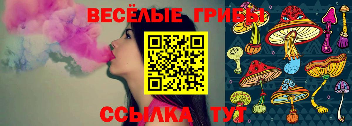 Псилоцибиновые грибы мицелий Шебекино